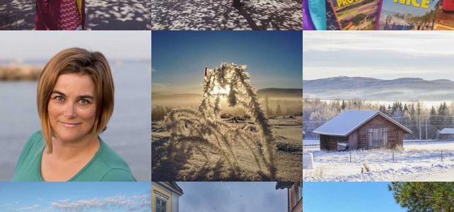 Reflektioner: Mitt år (i sociala medier) 2017 Reflektioner: Mitt år (i sociala medier) 2017