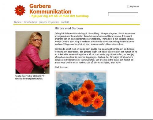 gerbera