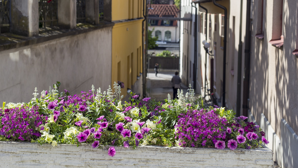 visby-betong-almedalen-7209