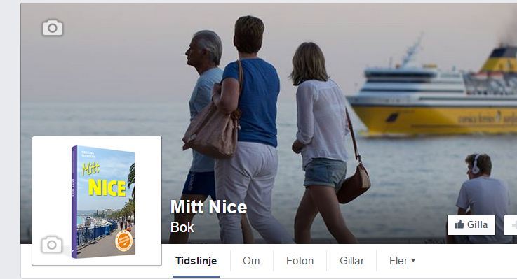 fb-mitt-nice