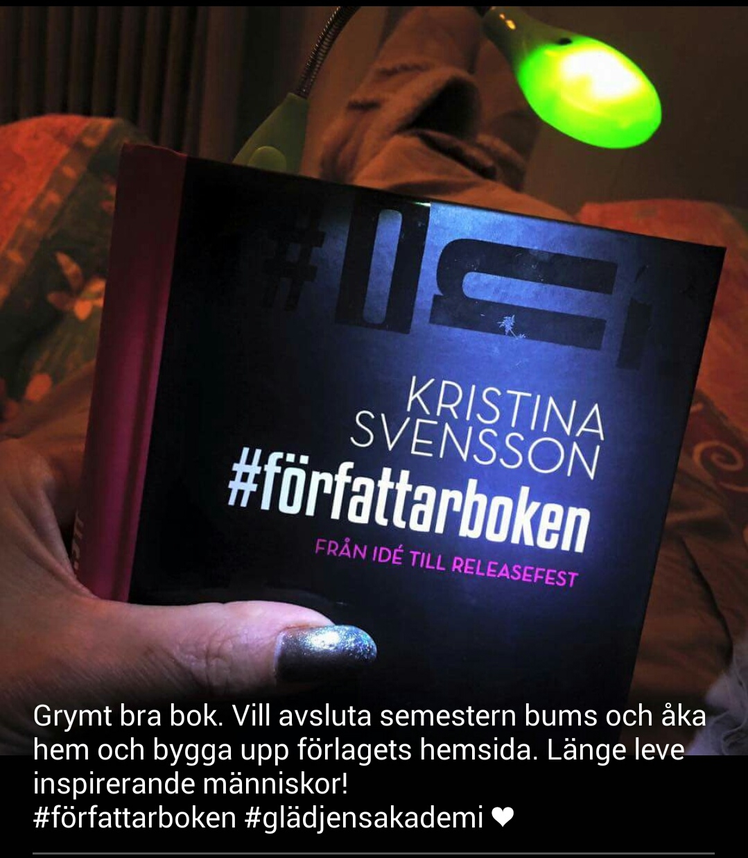 forfattarboken-gladjens-akademi forfattarboken-gladjens-akademi