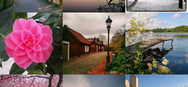 Reflektioner: Mitt år i sociala medier (2015) Reflektioner: Mitt år i sociala medier (2015)