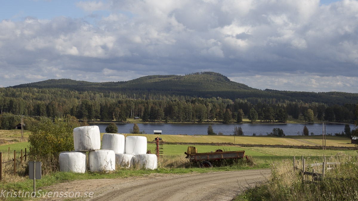 Ljusnan, Hälsingland Ljusnan, Hälsingland