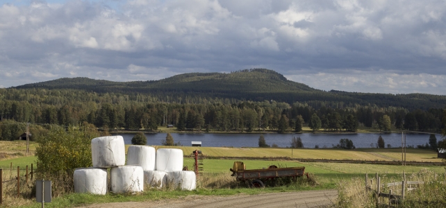 Månadens bild: Ljusnan i Hälsingland Månadens bild: Ljusnan i Hälsingland