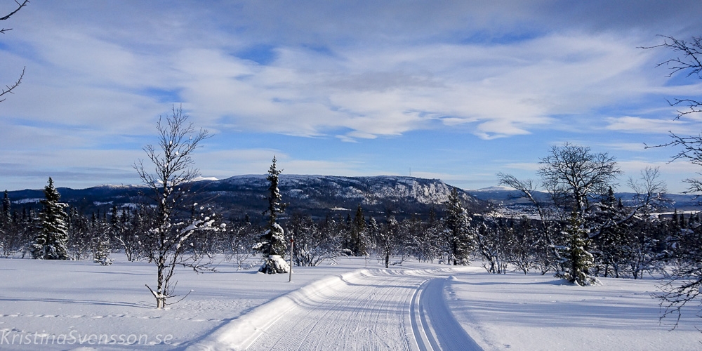 tanndalen-45 tanndalen-45