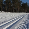 Vasaloppsspåren vid Evertsbergssjöarna.