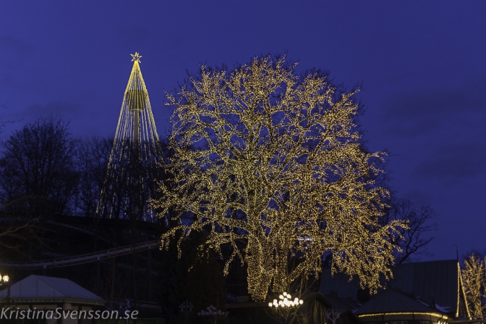 12-december-2019-webb-liseberg-img_9940