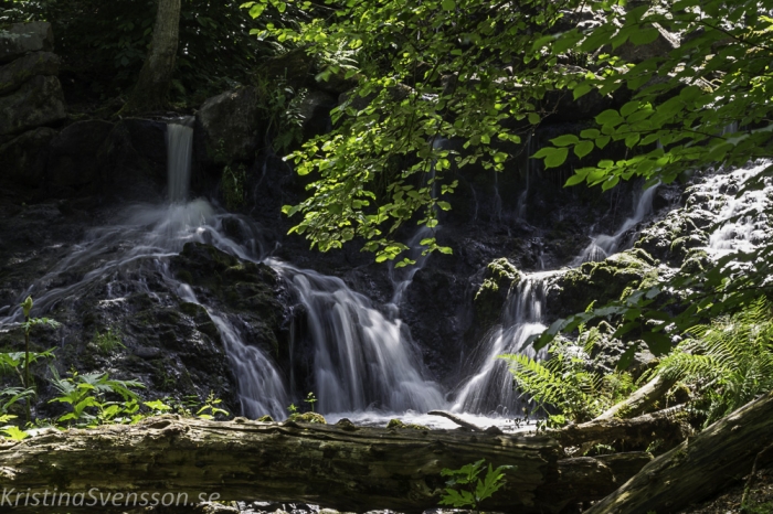 6-juni-2019-webb-vattenfall-_mg_4298