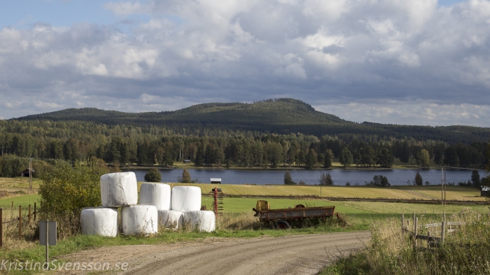 Ljusnan, Hälsingland