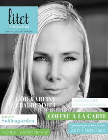 litet-magasin-nr-1-2015
