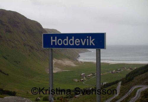 Hoddevik