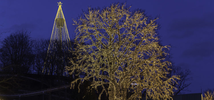 Månadens bild: julmys på Liseberg