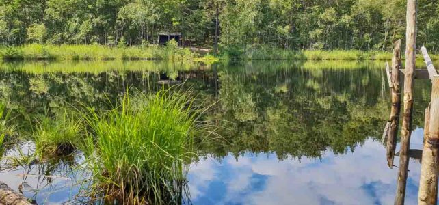 Månadens bild: vandring vid sjö i Täby Månadens bild: vandring vid sjö i Täby