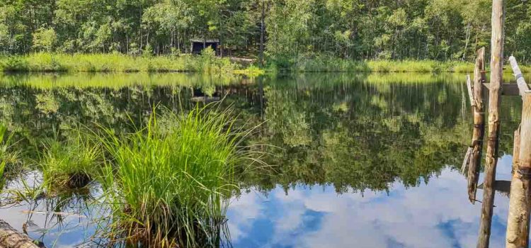 Månadens bild: vandring vid sjö i Täby