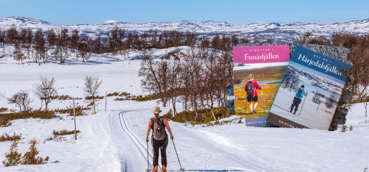 Mitt 2022 – ännu mer Härjedalsfjällen & lite Frankrike