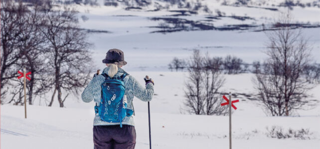 Ett år i Härjedalsfjällen Ett år i Härjedalsfjällen