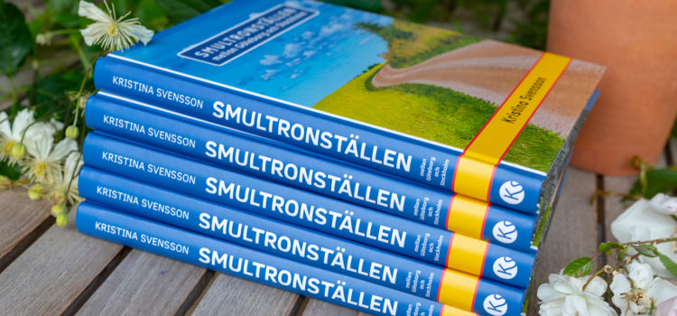 Min första presentbok: Smultronställen mellan Göteborg och Stockholm