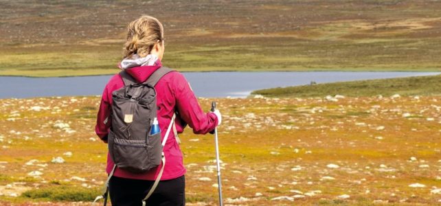 Strövtåg i Härjedalsfjällen Strövtåg i Härjedalsfjällen