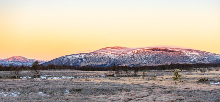 November 2021: Rimfrost och morgonljus över Hamrafjället