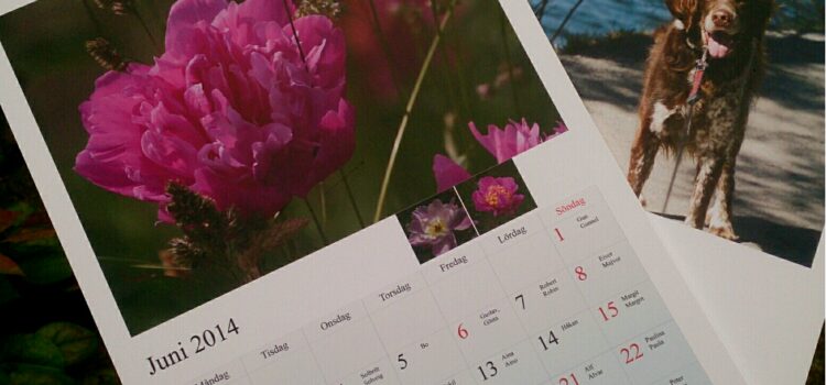 Vill du köpa en Antibes-kalender 2015?