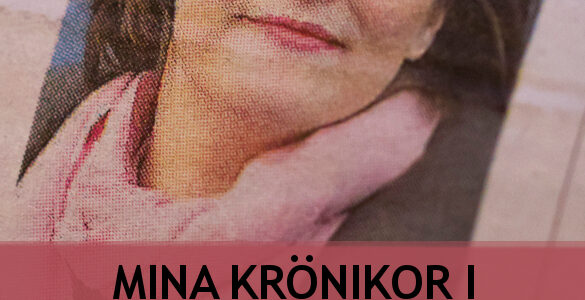 Mina krönikor i Mölndals-Posten 2012