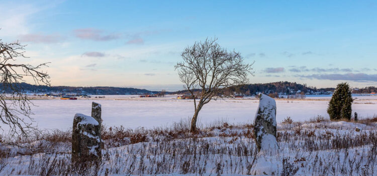 Februari 2022: Hallands största gravfält från vikingatiden