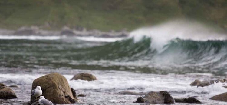 Vackra omgivningar runt surfcampen