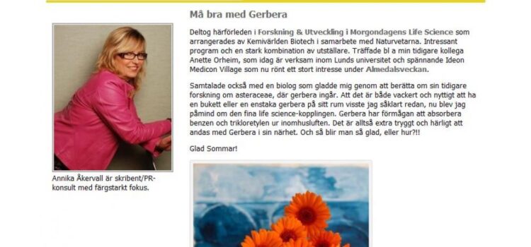 Gett Gerbera Kommunikation ett handtag ut på nätet