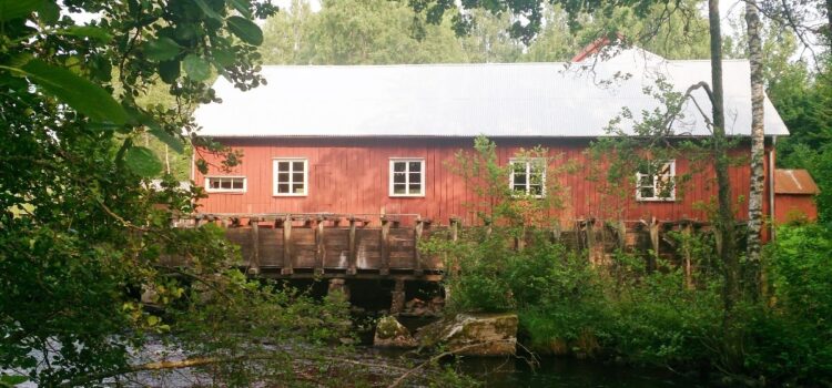 Månadens bild augusti 2013